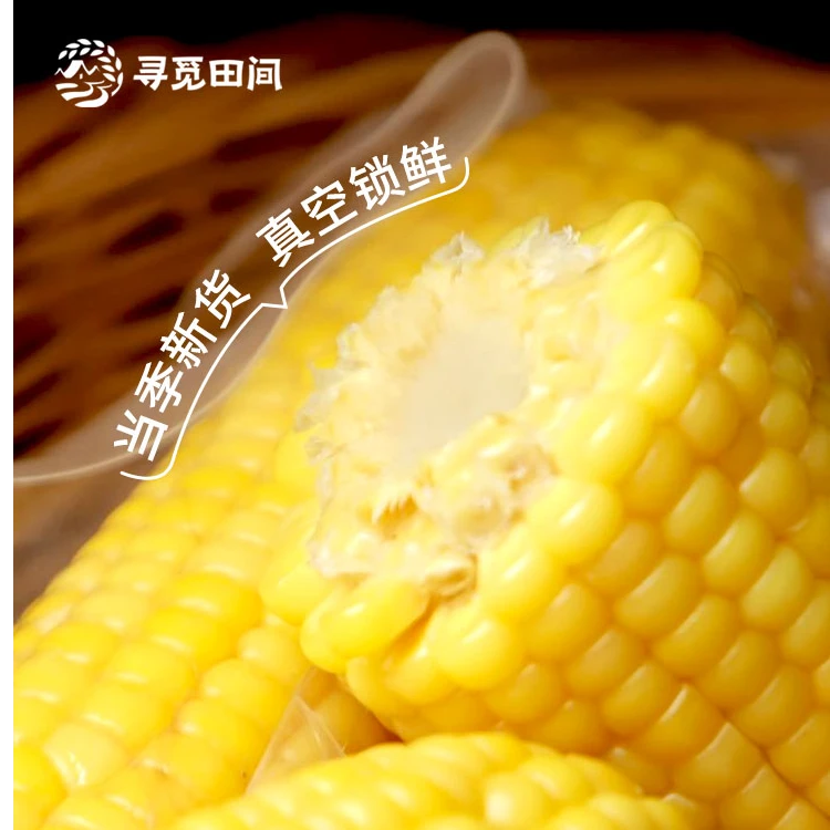寻觅田间东北黄糯玉米3根当季新品尝鲜装低脂软糯香甜真空