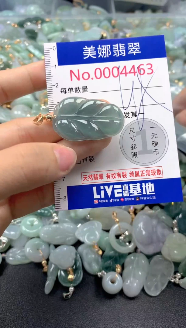 颈饰未镶嵌翡翠4463
