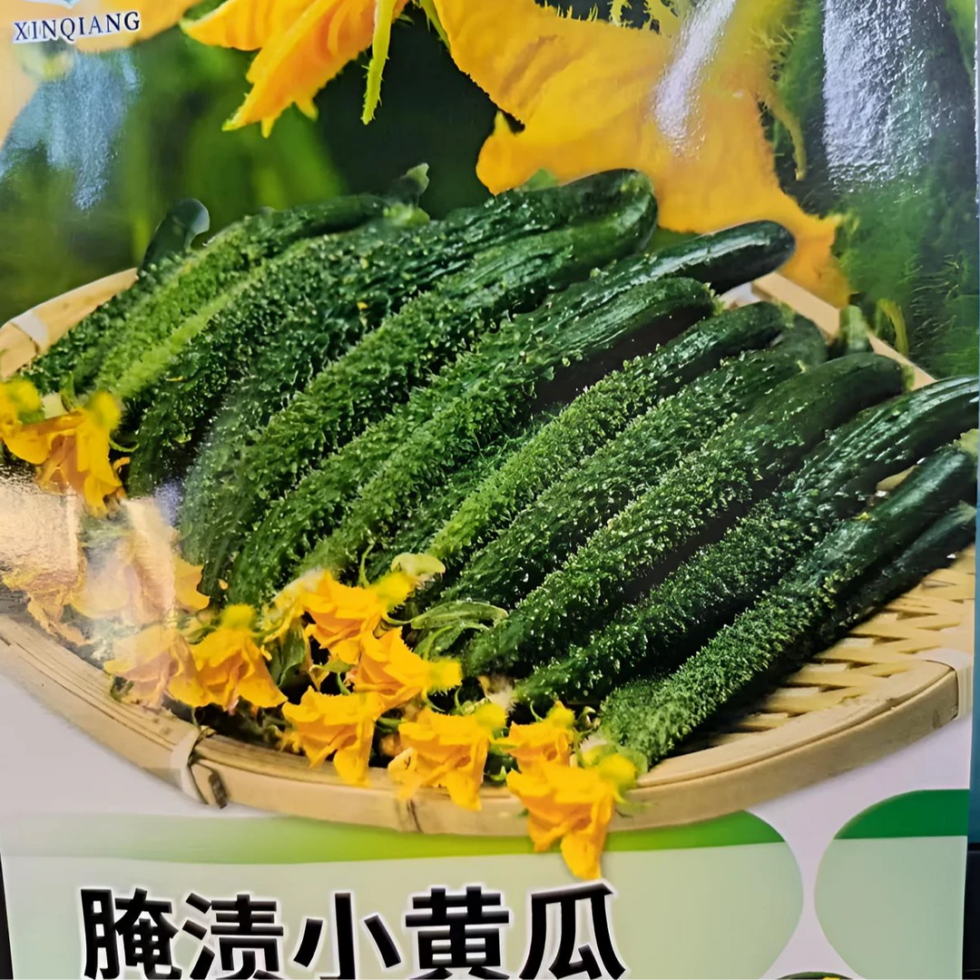 【腌渍小黄瓜种子】腌渍小黄瓜种籽大全四季春季上