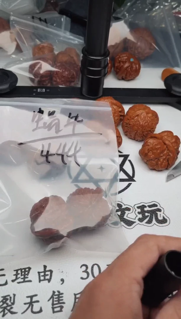 文玩核桃把件奔***牛0628-皮带-蜗牛