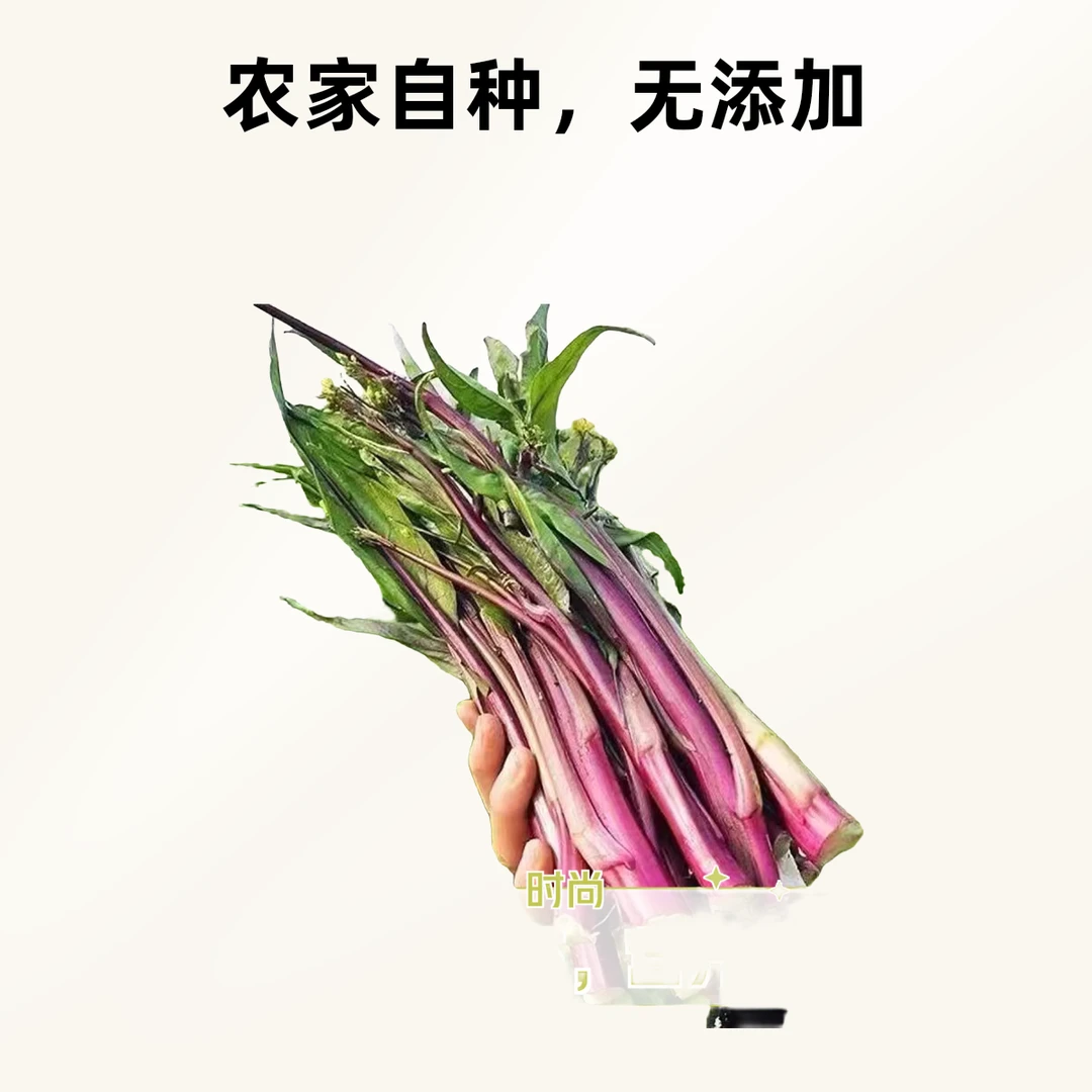 湖北特产武汉红菜苔现摘现发新鲜紫菜薹红油菜心当季蔬菜包邮