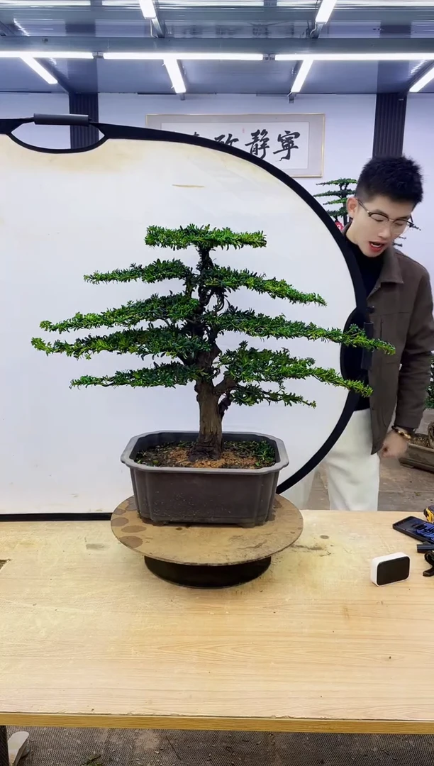 无花朵000000000000000000000000