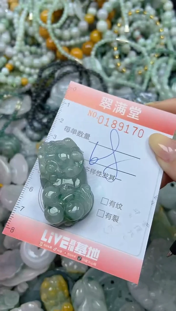 颈饰未镶嵌翡翠闪购0189170