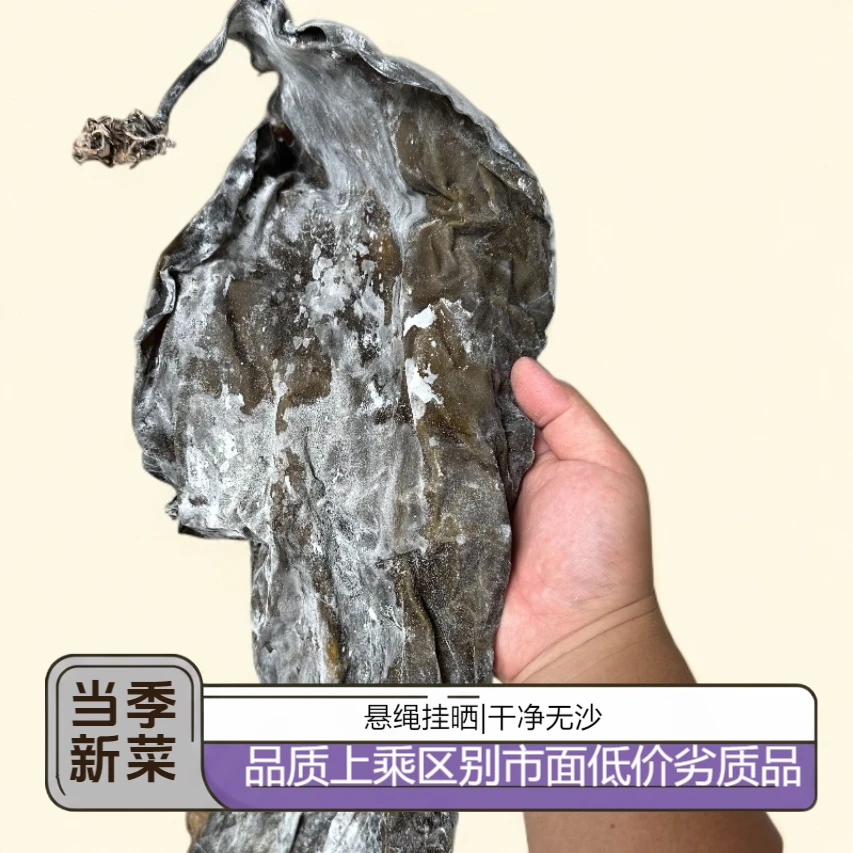 霞浦海带天然日晒干海带干货特级厚无沙煲汤凉拌商用昆布海带丝头