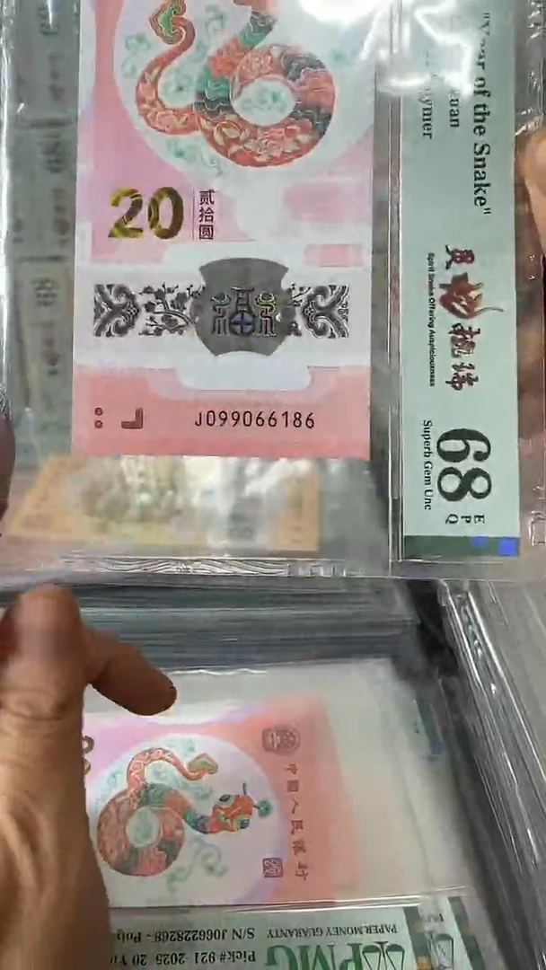 塑料099066186-蛇钞单张