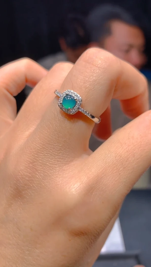 【闪购商品】定制翡翠未镶嵌2多样性发货（发其一）