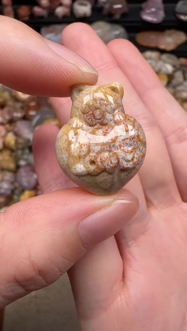 硅化珊瑚（珊瑚玉）未镶嵌颈饰047