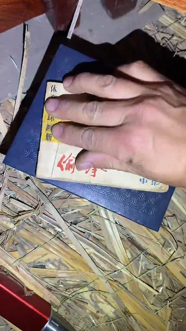 香榧木37啊啊啊啊啊啊啊啊啊啊啊啊啊