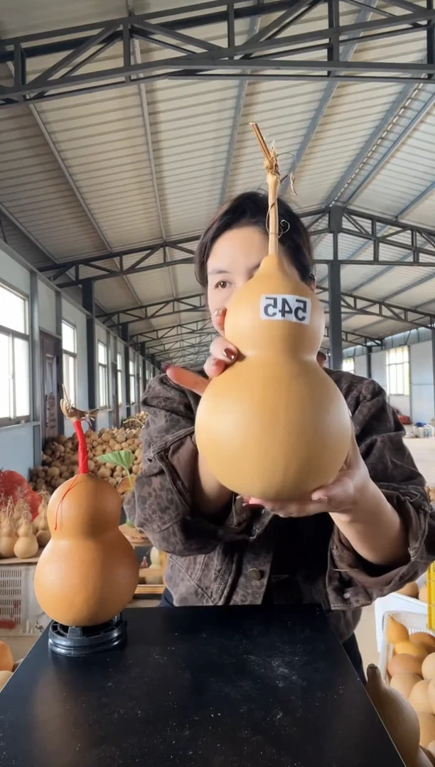 545天然葫芦摆件 一物一拍龙头不保售后