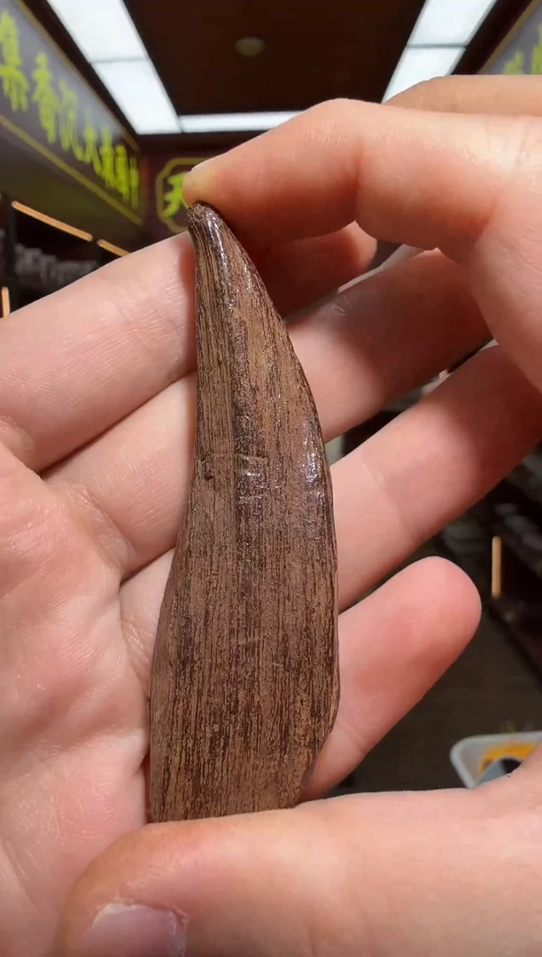 沉香吊坠92号斯里兰卡红土 多样性发一