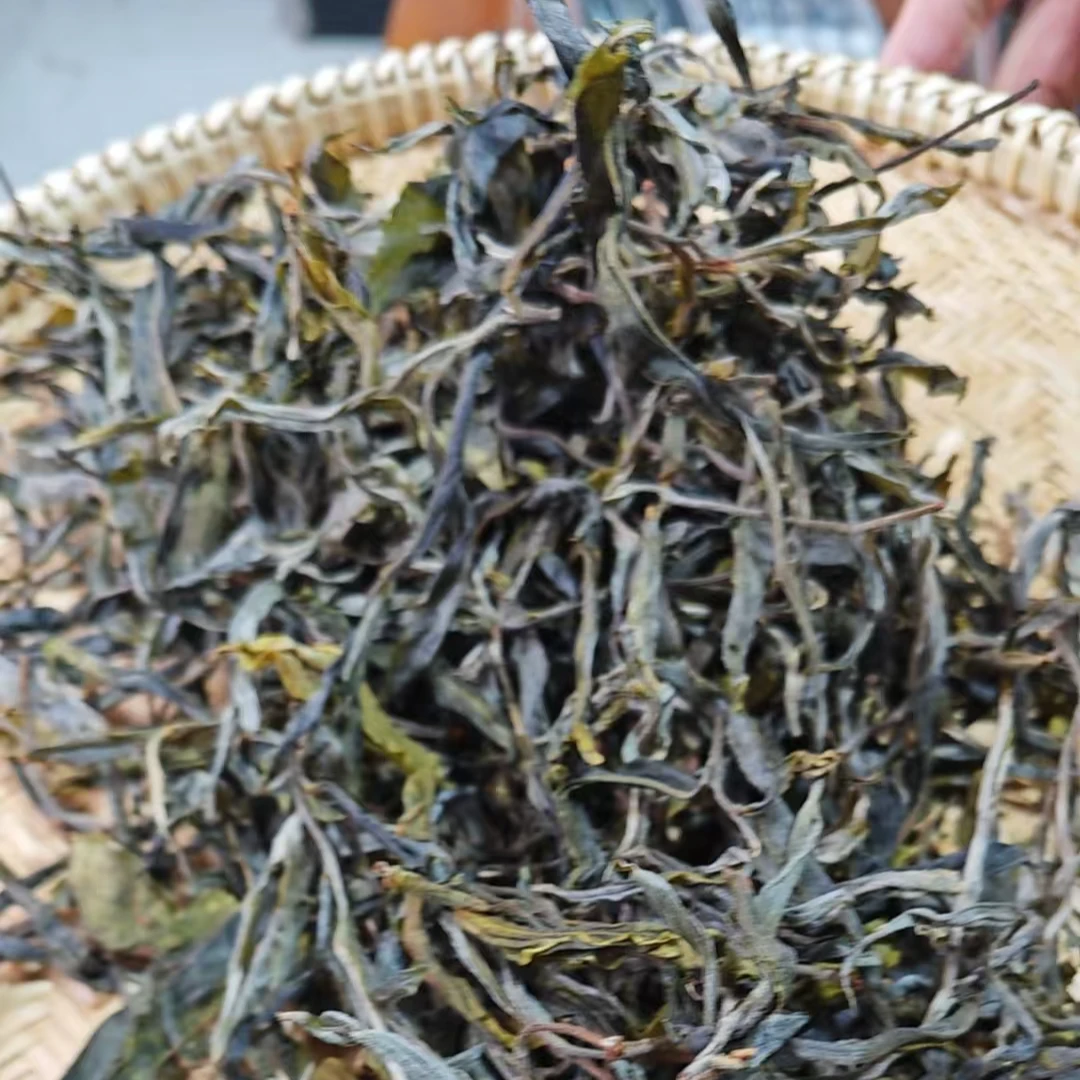 【404】2025年 芭蕉箐 单株古树头春头采 普洱生茶 散茶
