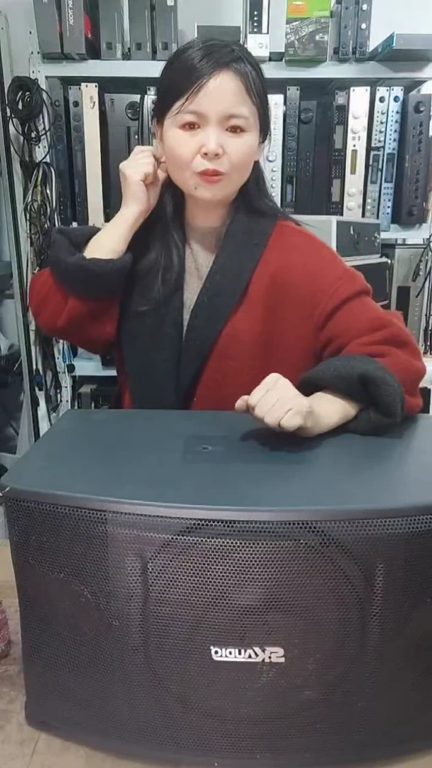 8新十寸卡包音响一对，不包邮费