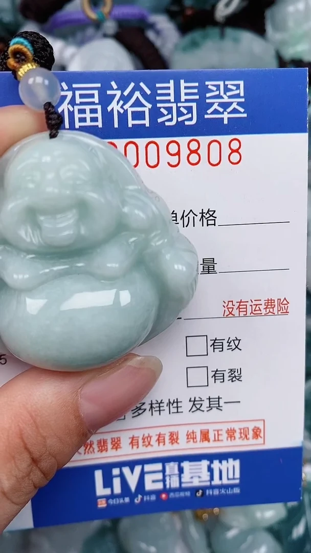 翡翠未镶嵌颈饰...0009808