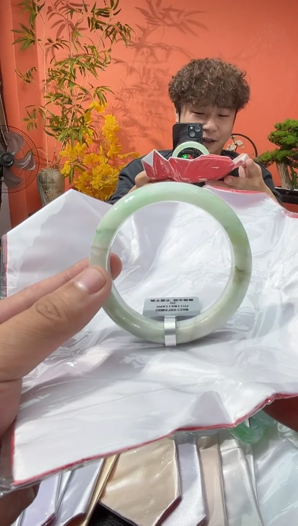 未镶嵌手镯翡翠2