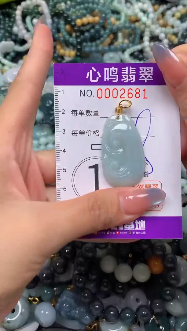 颈饰未镶嵌翡翠闪购002681
