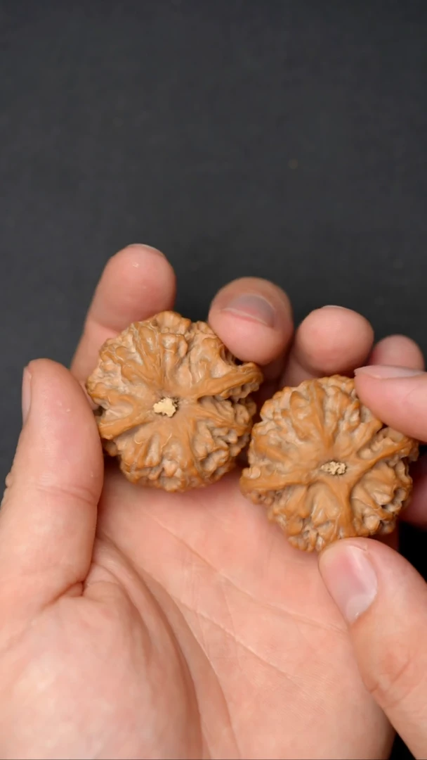 【闪购商品】文玩核桃把件全品苹果园40