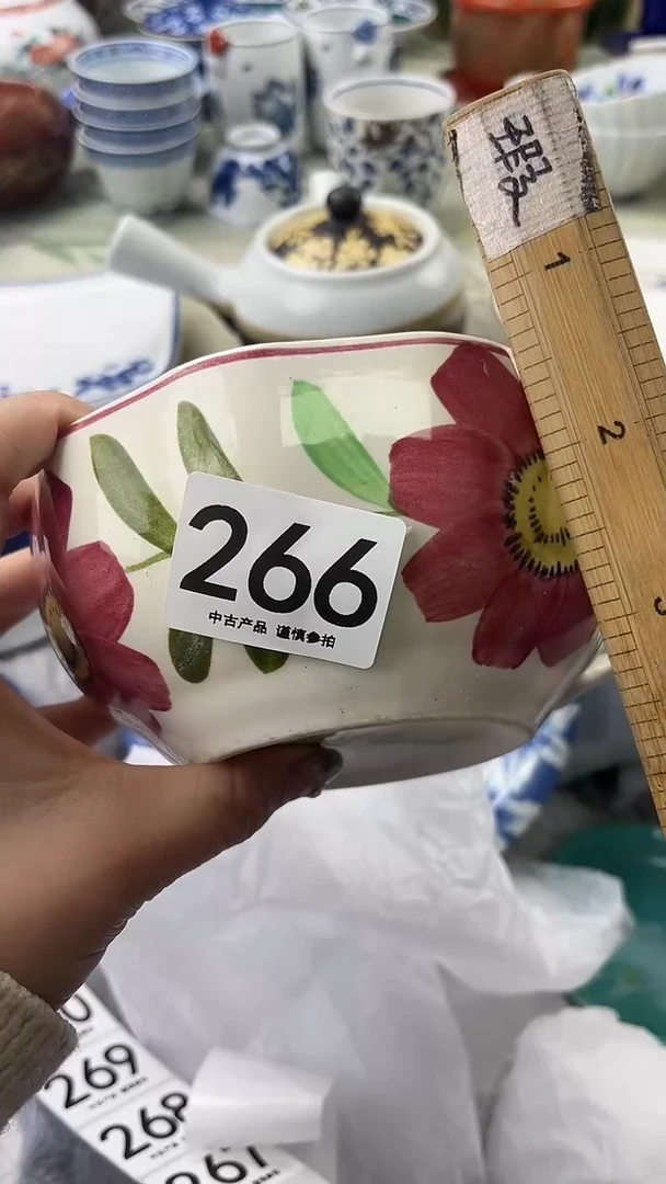 瓷片丽*丽266.........