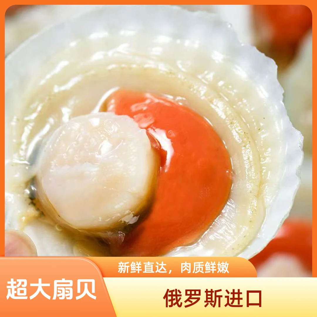 俄罗斯进口超大半壳冷冻虾夷扇贝新鲜饱满适合蒜蓉粉丝烧烤包邮