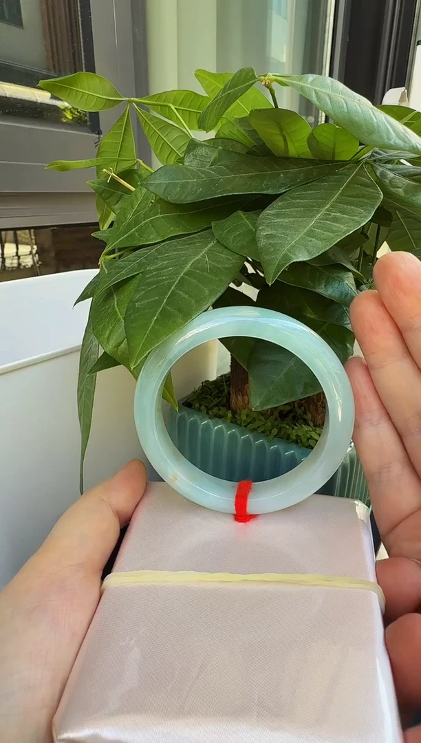 未镶嵌手镯翡翠缅甸天然A货翡翠手镯-16