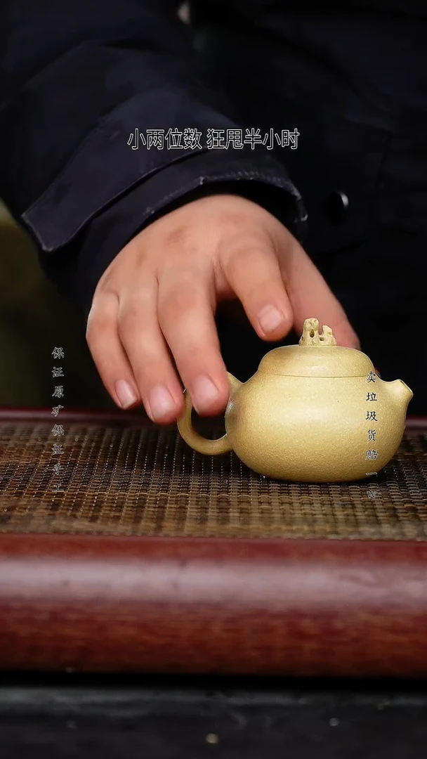 【闪购商品】紫砂茶壶紫砂茶壶