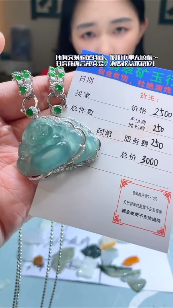 颈饰银S925镶嵌翡翠V****_净货-多样性-发两件