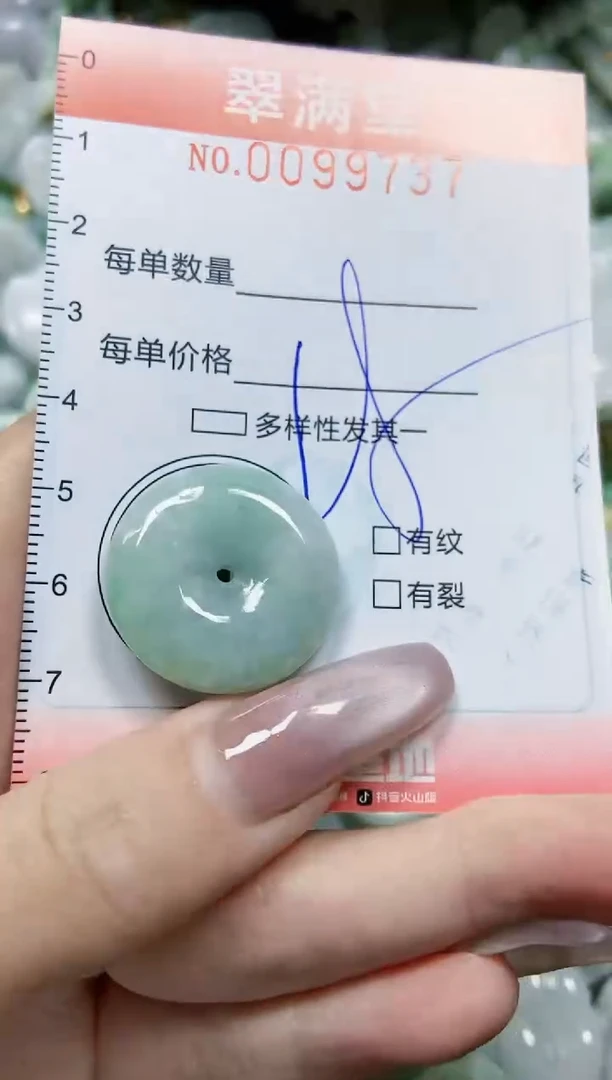 【闪购商品】翡翠颈饰未镶嵌闪购0099737