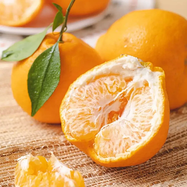 精品耙耙柑 约1000g（ 13.8元/斤）柑橘四川省眉山市