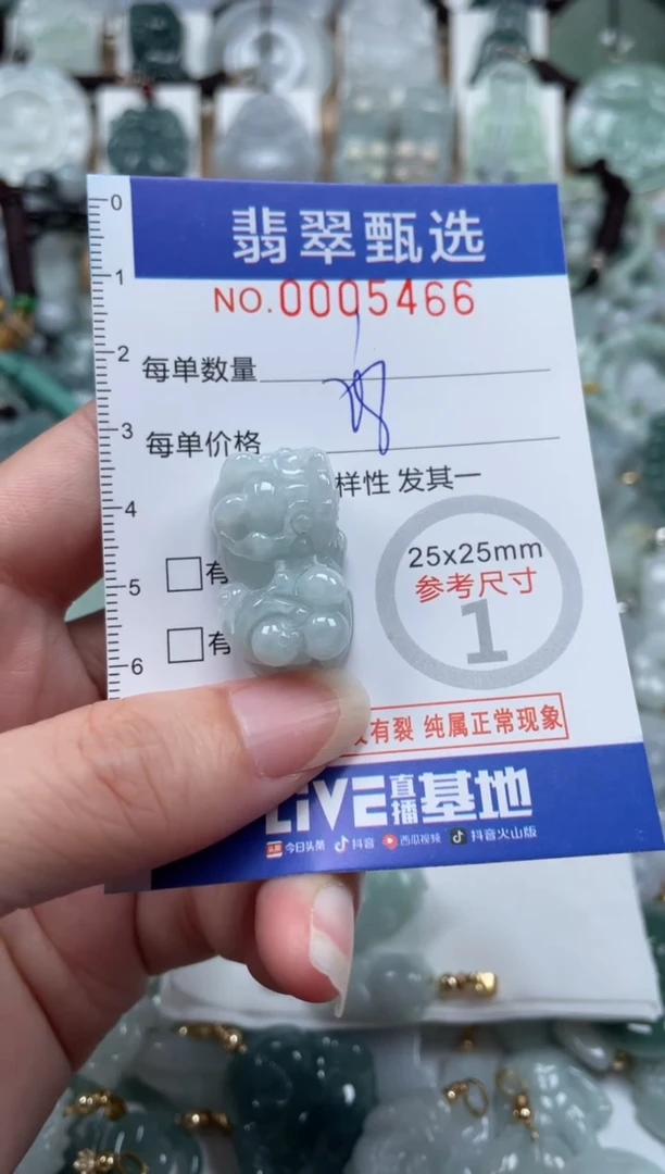 翡翠未镶嵌颈饰00..5466
