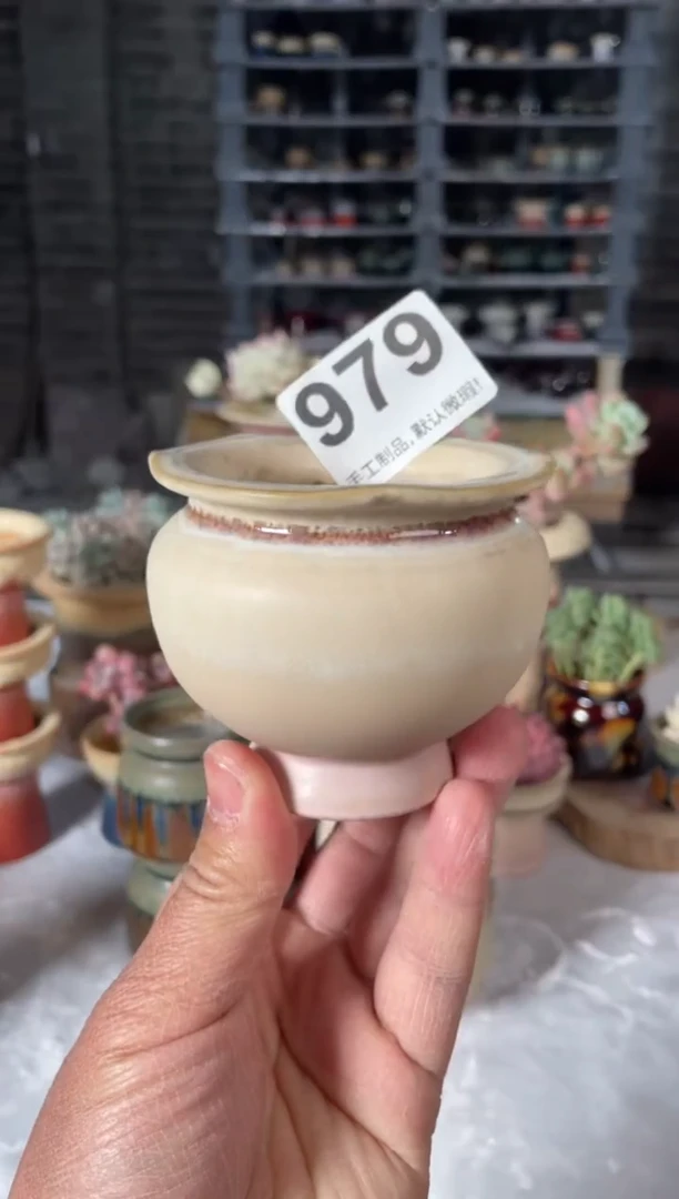 瓷片979小芳直播编号