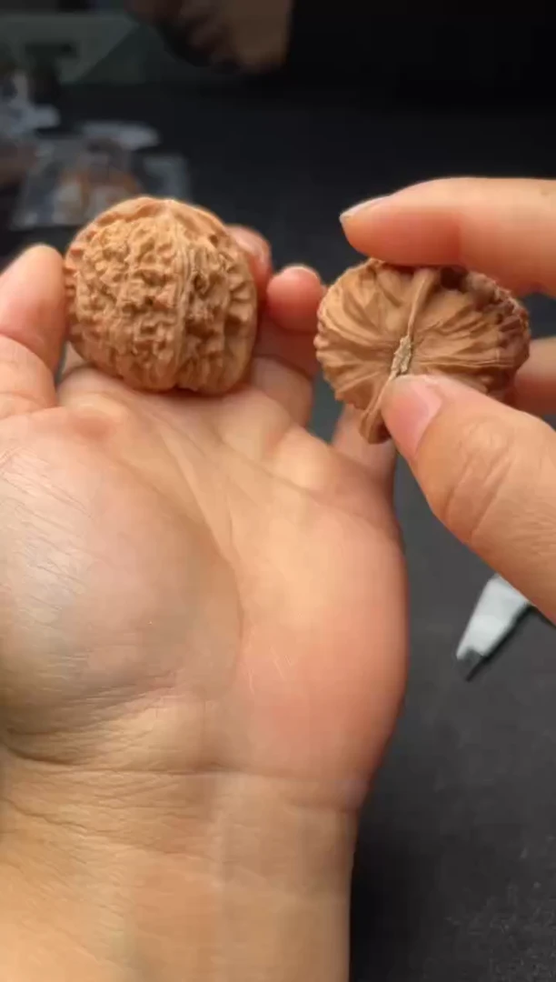 把件文玩核桃W171  白狮子  40