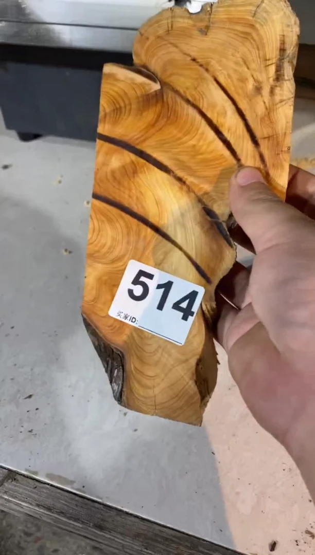 柏木（崖柏）太行山陈化崖柏（津诚林）切片一片