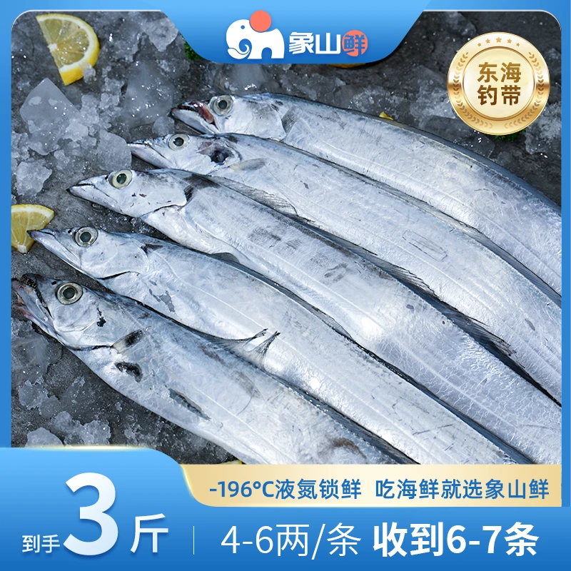 象山鲜海钓带鱼4-6两/条液氮锁鲜石浦码头发货包邮东海带鱼