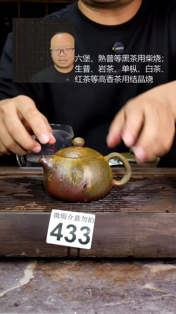 壶四大名陶钦州坭兴陶433