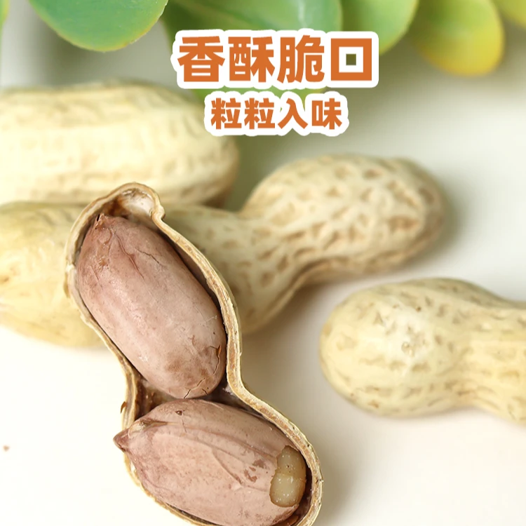 五香水煮带壳咸干花生自然晾晒软口有嚼劲健康零食