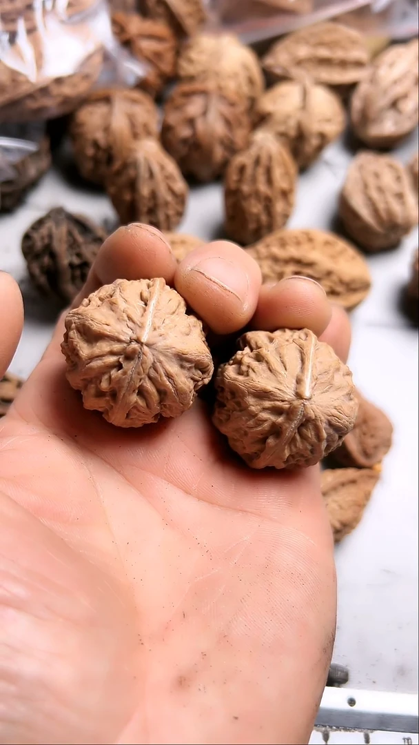 核桃东北野生大秋子5