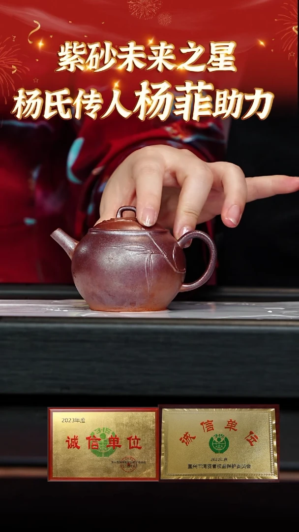 【闪购商品】紫砂茶壶37 杨菲老师专场