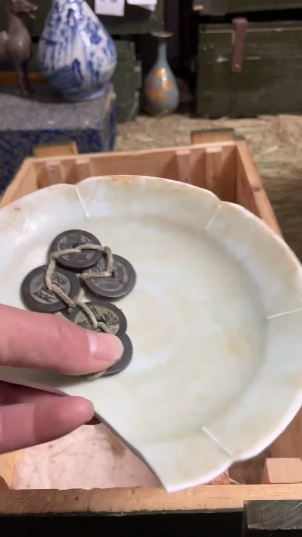 瓷片主播推荐好物