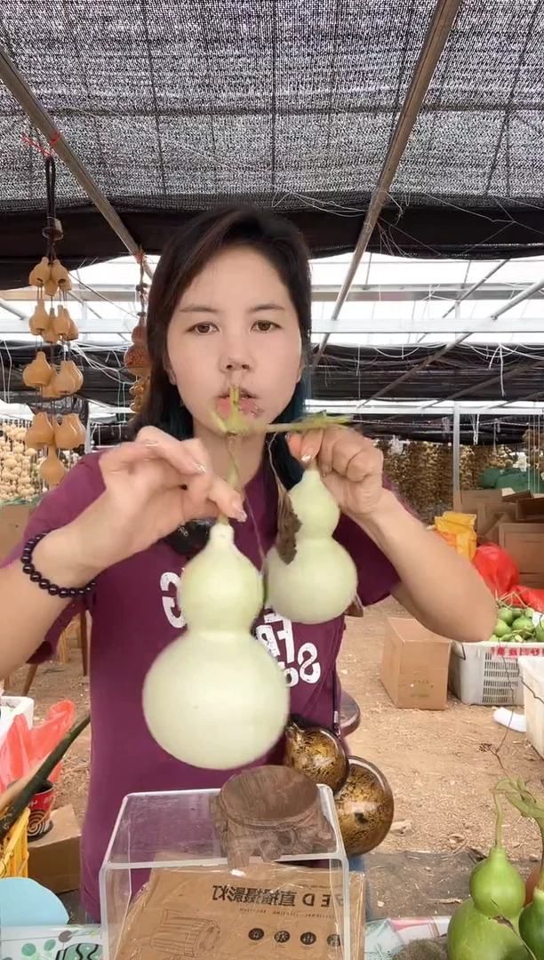 771天然葫芦摆件 一物一拍龙头不保售后连藤