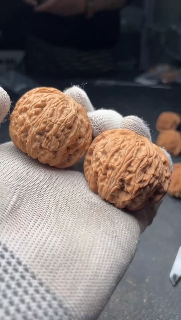 木质a80  泥鳅背  41尺