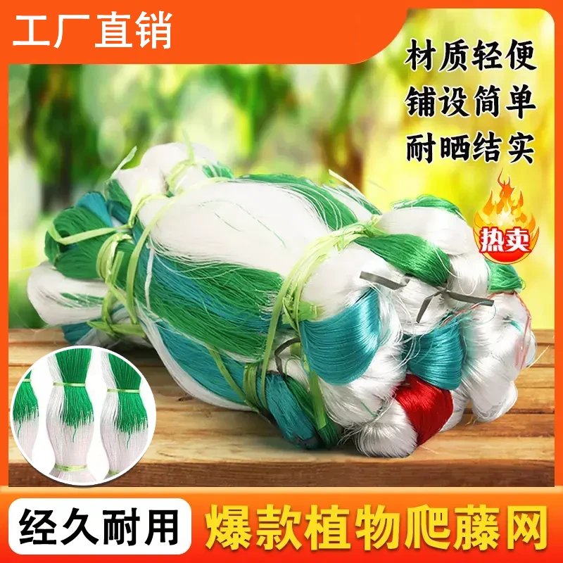 园艺爬藤网 农业种植爬藤架 藤类花草山药网豆角网黄瓜种植支架网