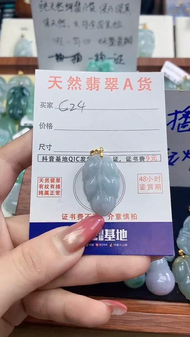 颈饰未镶嵌翡翠天然A货翡翠挂件