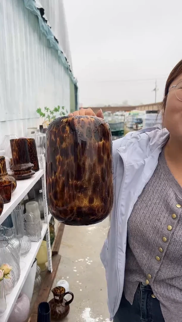 花瓶客厅餐桌插花装饰好物大