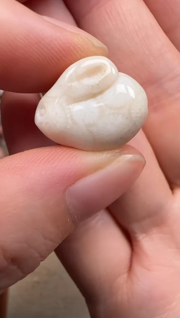 硅化珊瑚（珊瑚玉）未镶嵌颈饰460