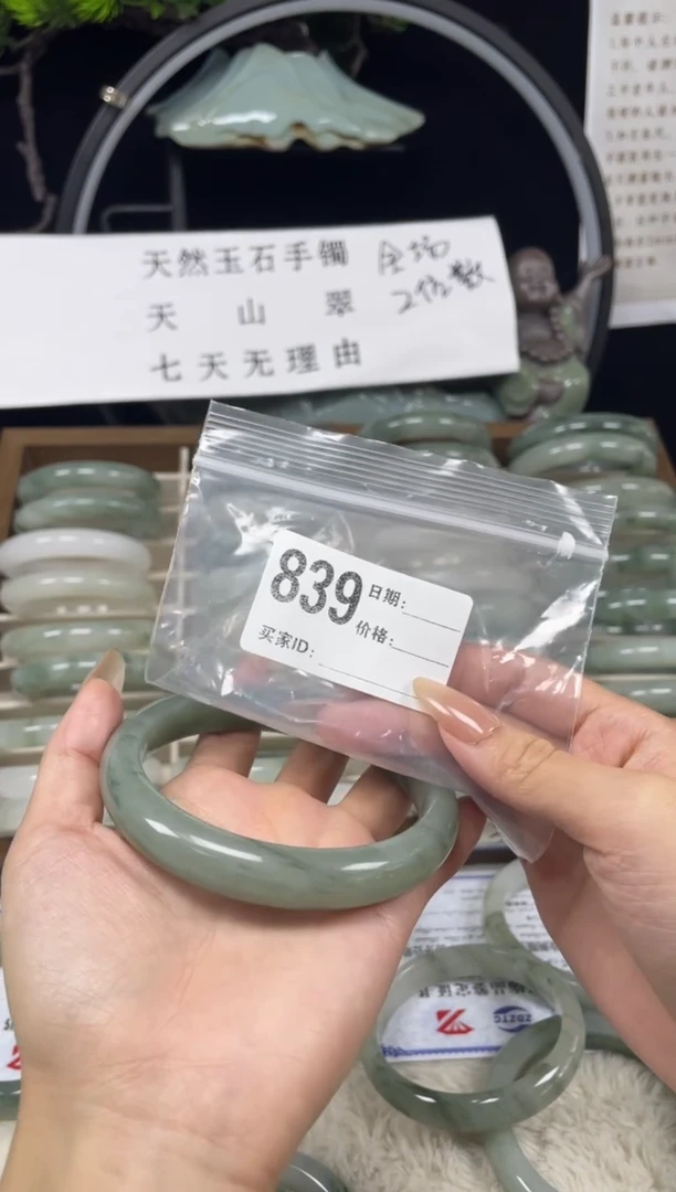 未镶嵌手镯石英质玉（天山翠）839