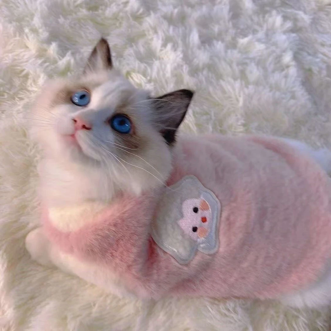 可爱秋冬季猫咪衣服小型幼犬保暖加厚背心薄款春夏宠物防掉毛背心