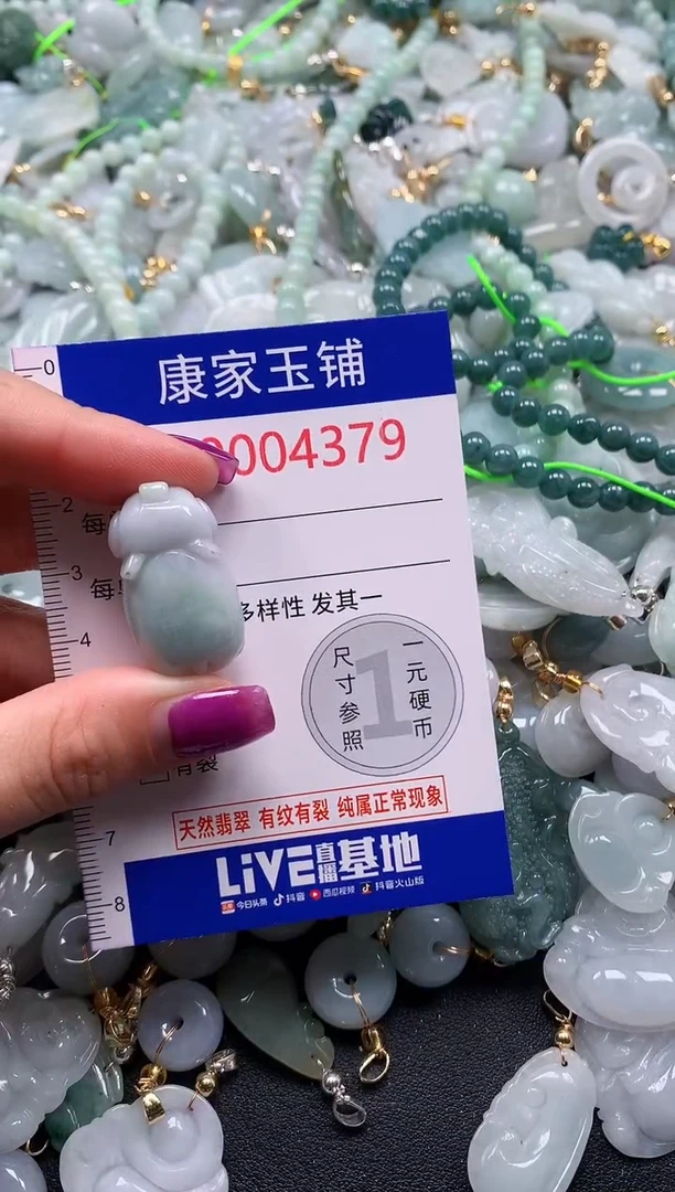 颈饰未镶嵌翡翠4379