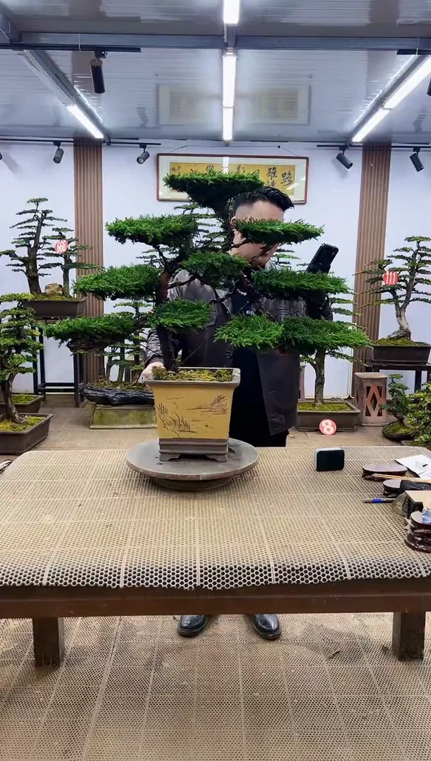 【闪购商品】00000000