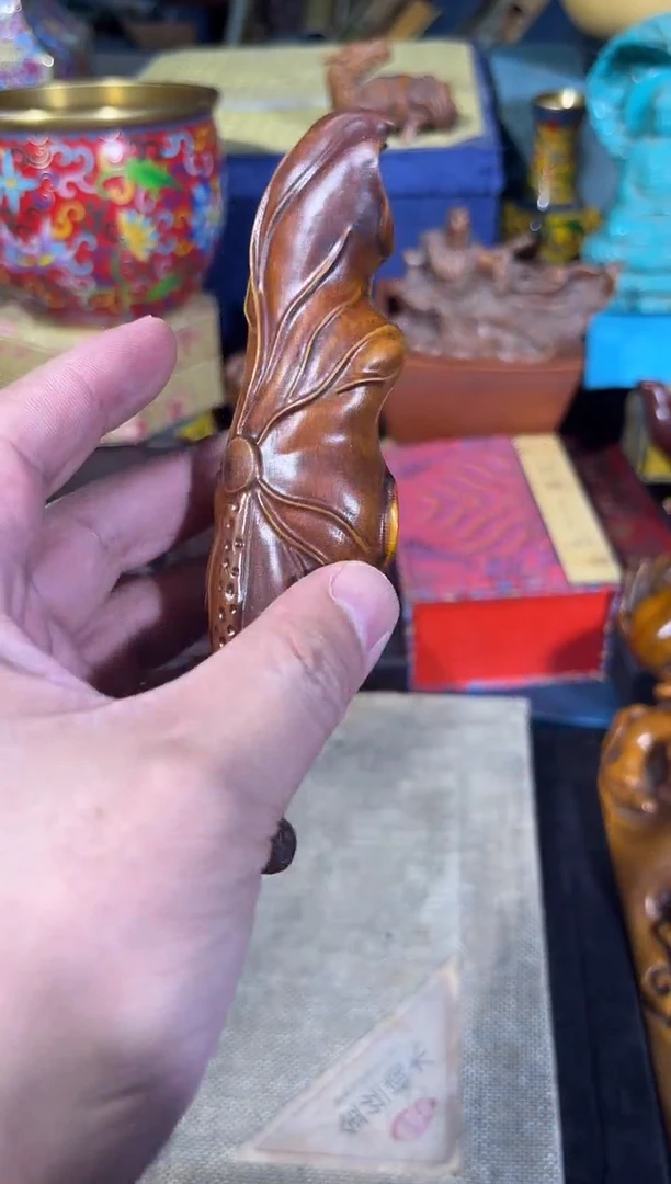 黄杨木11111111111111111111