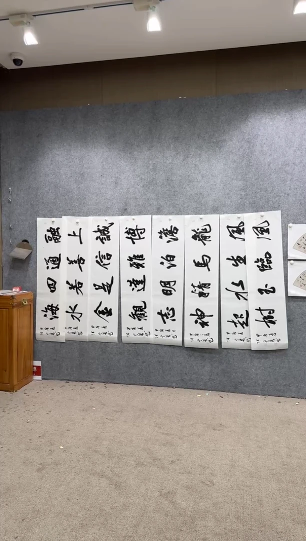 【闪购商品】书法pmw不二轩旗舰店书法ZDQ16