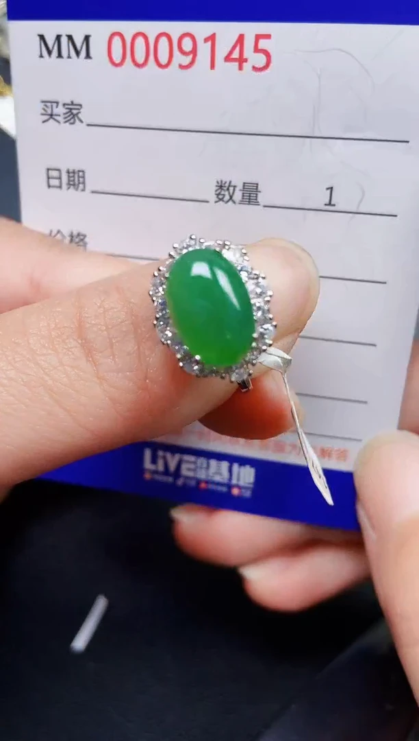 翡翠银S925镶嵌颈饰9145